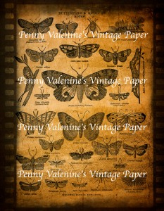 ButterflyPaperBlack&Sepia11