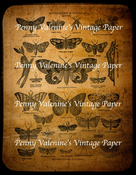 ButterflyPaperBlack&Sepia13