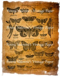 ButterflyPaperBlack&Sepia14