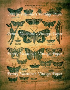 ButterflyPaperBlack&Sepia15