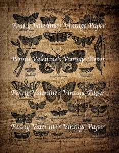 ButterflyPaperBlack&Sepia16