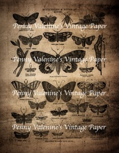 ButterflyPaperBlack&Sepia18