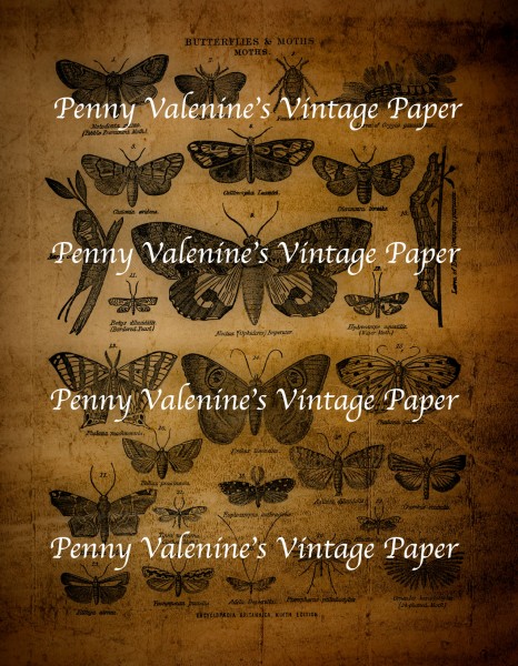 ButterflyPaperBlack&Sepia19