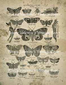 ButterflyPaperBlack&Sepia4