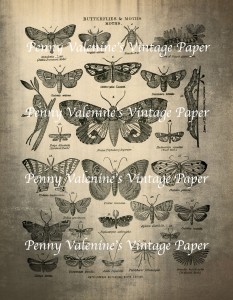 ButterflyPaperBlack&Sepia6